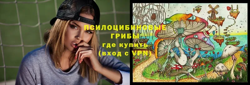 Галлюциногенные грибы MAGIC MUSHROOMS  Жирновск 